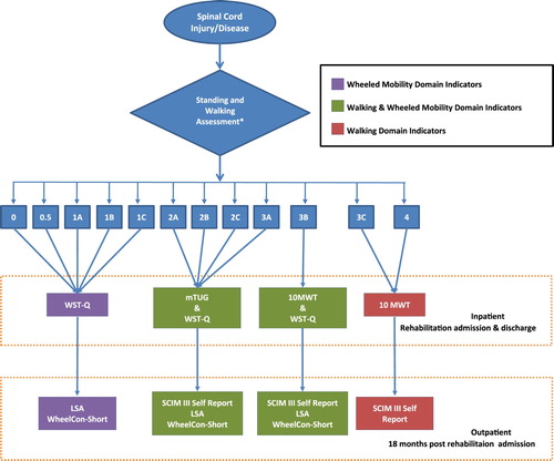 Figure 2 Walking and Wheeled Mobility Domain indicator decision tree. Appropriate indicator data collection is based on the patient's stage of standing and walking recovery ascertained using the Canadian SCI Standing and Walking Assessment Tool.Citation60 The Figure is intended to help clinicians decide when it is appropriate or not to collect Wheeled Mobility or Walking indicators, or both, based on the individual's stage of standing and walking recovery. WST-Q: Wheelchair Skills Test Questionnaire; mTUG: modified Timed Up and Go; 10 MWT: 10 Meter Walk Test; LSA: Life-Space Assessment; WheelCon: Wheelchair UseConfidence Scale; SCIM III: The Spinal Cord Independence Measure version III. *Canadian Spinal Cord Injury Standing and Walking Assessment Tool.