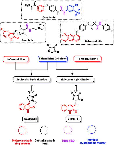 Figure 1. Design of target compounds based on FDA-approved VEGFR-2 inhibitors and molecular hybridisation strategy.