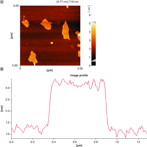 Figure 1. Atomic force microscopy image of graphene oxide flakes and height profiles of graphene oxide nanosheets.(A) Atomic force microscopy lateral image of graphene oxide. (B) The height profiles of graphene oxide.AFM: Atomic force microscopy; GO: Graphene oxide.