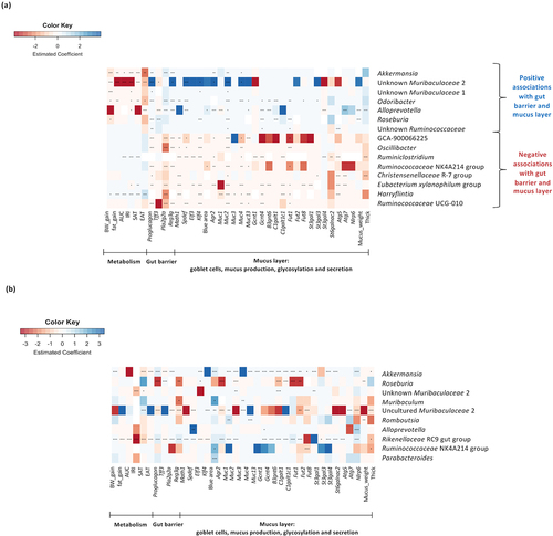 Figure 8. Associations between gut bacterial genera and variables of metabolism, gut barrier and mucus layer. (a,b) Heat map displaying the most significant and numerous baseline associations between gut bacterial genera (absolute abundance in the feces at the end of the treatment) and variables of metabolism, gut barrier, goblet cells and mucus production, glycosylation and secretion (in the colon) (n = 10–12/group). (a) Heat map created considering all the samples from all the groups (CT, HFD and HFD+FOS) (n = 10–12/group). (b) Heat map created considering only the samples from the group HFD+FOS (n = 10). Statistically significant FDR-adjusted p-values are noted with asterisks (*P ≤ 0.05, **P ≤0.01, ***P ≤ 0.001, ****P ≤ 0.0001).