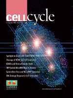 Cover image for Cell Cycle, Volume 7, Issue 22, 2008