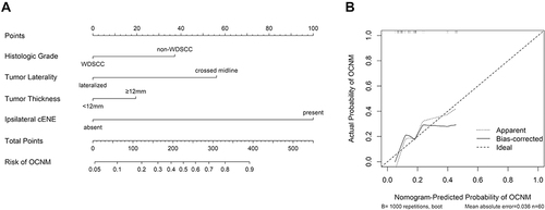 Figure 1 (A) Nomogram was constructed based on the data of clinical contralateral N0 group. The points of each feature were added to obtain the total points, and a vertical line was drawn on the total points to obtain the corresponding risk of OCNM. (B) Calibration curves of nomogram prediction of OCNM.