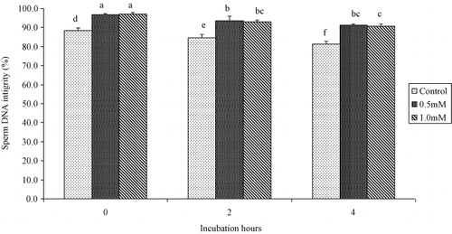 Figure 4. Effect of cysteine addition in semen extender on the DNA integrity of buffalo bull spermatozoa at 0, 2 and 4 hours after thawing. Bars with different letters show significant (P < 0.05) differences.