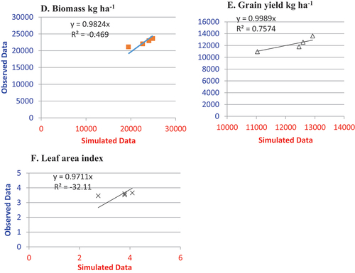 Figure 4. Comparison of the simulated and observed above-ground biomass (D), grain yield (E), and leaf area index (F) values for the BH540 cultivars in the evaluation experiment.