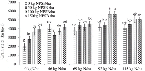Figure 7. Interaction effect of blended NPSB and N fertilizers on grain yield of durum wheat combined in 2017–2019. c–e = cde; b–d = bcd, etc.