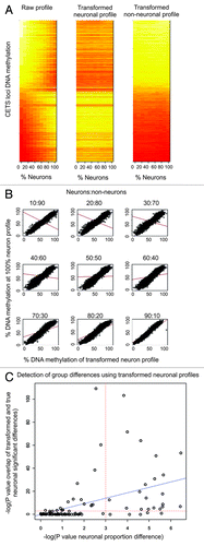 Figure 3. Transformation of bulk tissue derived data to in silico neuronal and non-neuronal profiles. (A) Heat Maps of raw non-transformed, transformed neuronal, and transformed glial DNA methylation values at the top 10,000 CETS markers across the empirically mixed sample range. (B) Scatter plots of the raw 100% neuronal vs. the transformed neuronal DNA methylation profile at the top 10000 CETS markers across the empirically mixed sample range with the blue line depicting the line of best fit. Red lines represent the line of best fit for the correlation between 100% neuronal vs. non-transformed DNA methylation profile across the empirically mixed sample range. (C) Scatter plots of the –log of the p-values generated from 100 iterations of randomly shuffling 20 bulk tissue samples. The –log(p value) of a Fisher’s exact test evaluating the degree of overlap between FACS derived neuronal profiles and the transformed and non-transformed bulk tissues in each of the 100 pair wise comparisons (y-axis) is plotted as a function of the –log(p value) of a test evaluating the group-wise neuronal proportion differences (x-axis) for each of the 100 random comparisons.