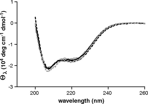Figure 1.  UV Circular dichroism spectra of Cys-less and single tryptophan mutants. Cys-less: black dashed line; Cys184Trp: grey dashed line; Arg190Trp: black solid line; Leu199Trp: grey solid line. Protein concentration is 8 µM in DM buffer, pH = 7.1.