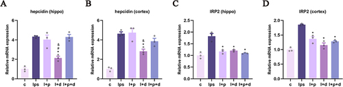 Figure 8 Propofol and dexmedetomidine influenced the transcriptional level of hepcidin and IRP2 in endotoxemic mice. (A and B) The relative mRNA expression of hepcidin. (C and D) The relative mRNA expression of IRP2. Data are expressed as the mean ± SEM (*p<0.05 vs lps group; #p<0.05 vs l+p+d group; &p<0.05 vs l+p group; n = 3).
