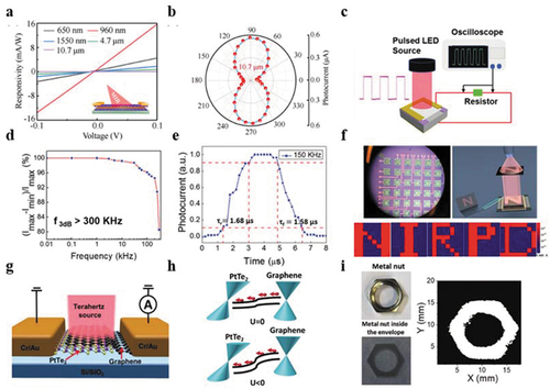 Figure 7. Photoelectric detection researches of PtTe2 films. (a). The photoresponse of PtTe2 at different wavelengths. The inset is the schematic illustration of photodetector. Reproduced from [Citation72]. (b). Anisotropic photoresponse for the linear-polarized excitation at 10.7 μm. Reproduced from [Citation72]. (c). The schematic illustration of the temporal photo-responsiveness of PtTe2/p-Si devices. Reproduced from [Citation49]. (d). Relative balance as a function of illumination modulation frequency, defined as (Imax− Imin)/Imax. Reproduced from [Citation49]. (e). The rise (τr) and fall (τf) times are obtained in the magnified view of photo-switching characteristics at 150 kHz. Reproduced from [Citation49]. (f). Photographs and images of the PtTe2-based arrays device. Reproduced from [Citation118]. (g), (h). The THz detecting devices and mechanisms of PtTe2 and graphene heterojunction, respectively. Reproduced from [Citation121]. (i). THz image of the metal nut. Reproduced from [Citation121].