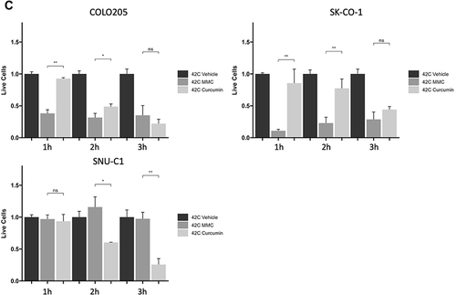 Figure 3 Human colon cancer cells (COLO205, SNU-C1 and SK-CO-1) were incubated in either a 37°C (normothermia) or 42°C (hyperthermia) incubator for 1, 2 and 3 hours respectively. Cell cultures were moved to 37°C (time 0) after which cell viability was determined using trypan blue exclusion cell counting after 72 hours. Cells treated with 25 μM curcumin (A) revealed a time-dependent effect on cell numbers in all three cell lines. Cells treated with 1 μM MMC (B) revealed a time-dependent effect on cell numbers in COLO205 and SK-CO-1 cells but had no effect on SNU-C1 cells. (C) We highlight the differences of MMC and curcumin. For statistical analysis, a Student’s t-test was used, *P<0.05, **P<0.01, ***P<0.001, ****P<0.0001.