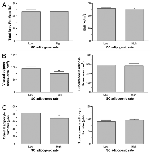 Figure 4. Differences in adipose tissue area and mature cell size of subgroups of women with low vs. high subcutaneous (SC) preadipocyte adipogenic rates but matched for BMI. (A) Women with low vs. high SC adipogenic rates showed similar total body fat mass and BMI values (no statistical difference). (B) Women with low SC adipogenic rates had significantly higher visceral adipose tissue area (P < 0.01), but no difference in SC adipose tissue area. (C) Differences in fat cell size in matched patients with low vs. high SC preadipocyte adipogenic rates. Statistical difference was observed for OM mature adipocyte size only (P < 0.05).