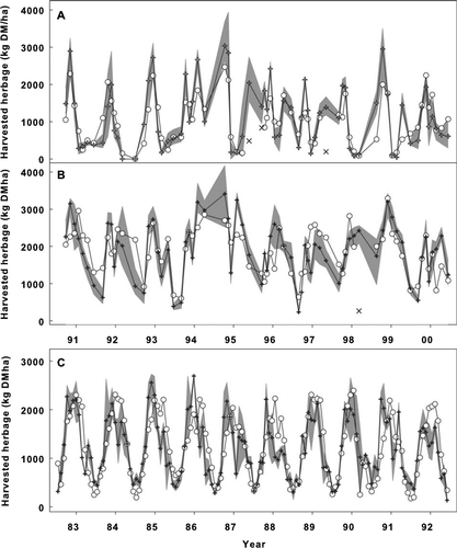 Figure 2  Simulated and measured NHA for each measurement interval. A, Dryland pasture at Winchmore. B, Irrigated pasture at Winchmore. C, Pasture at Ruakura. For Winchmore pastures, only scenarios from 1991–2000 are shown. The results over the whole simulation period of 1966–2004 were similar. Open circles (○), simulated mean; cross (+), measured mean; grey shaded area, measured range (maximum and minimum); thin cross (×), simulation ‘outliers’ (see ‘Discussion’).