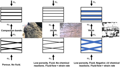 Figure 4. Different kinds of fracture at the cap end of the failure envelope. Left panel: failure in a porous material with no fluid. The discontinuities are compaction bands. Inset: compaction bands from Whakataki Formation, North Island, NZ (Regenauer-Lieb et al., Citation2021). Middle panel: failure in a low connected porosity material with no chemical reactions and fluid flow rate less than the strain rate. Inset: joint systems with pressure solution on one set. Ormiston Gorge, Central Australia. Right panel: failure in a low connected porosity material with chemical reactions and fluid flow rate greater than the strain rate. Inset: laminated vein with stylolites parallel to laminations. Bendigo, Australia (from Chace, Citation1949).