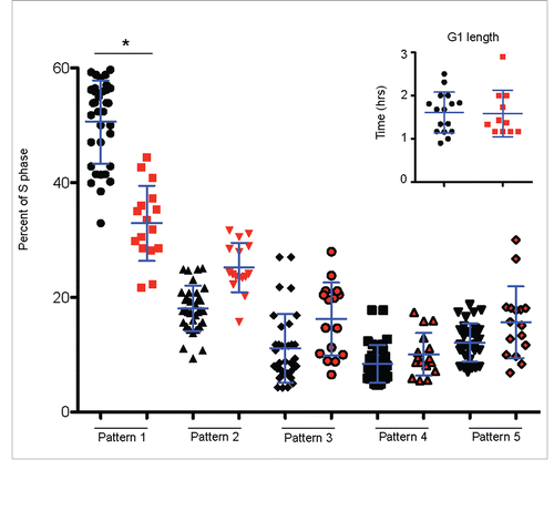 Figure 5. Spatio-temporal re-organization of replication foci accompanies differentiation without G1 phase lengthening. The % of S phase spent replicating each pattern for GFP-PCNA expressing H9 Sox17-mCherry cells using live-cell-imaging videos (Exemplary patterns shown in Fig. 2A). Undifferentiated hPSCs are in black, differentiated (mCherry+) cells are in red. G1 lengths of cells observed are shown in the inset of figure. *p value < 0.05.