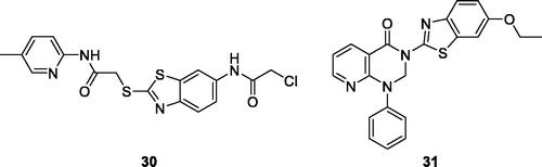 Figure 18. Substituted pyridine based acetamide benzothiazole 30 and pyridine containing pyrimidine benzothiazole 31.
