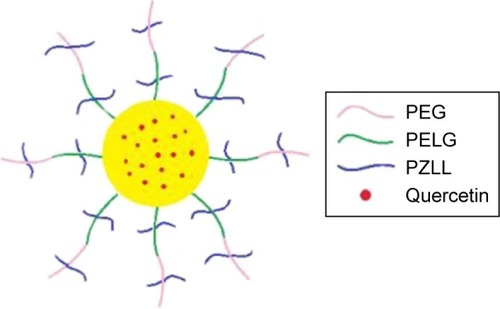 Scheme 1 The structure of quercetin/PEG-b-(PELG-g-PZLL).Abbreviation: PEG-b-(PELG-g-PZLL), poly(ethylene glycol)-b-(poly(ethylenediamine l-glutamate)-g-poly(ε-benzyloxycarbonyl-l-lysine)).