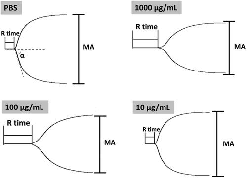 Figure 8. Representative TEG traces of whole blood coagulation in the presence of different concentrations of Tf-PAAs-MTX/pMMP-9.