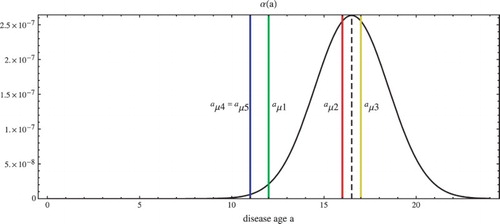 Figure 1. The disease age infection transmission function for Sierra Leone α(a) with α0=1.27×10−6, αm=16.5, αsd=2.0, and the removal rate start ages aμ1=12, aμ2=16,aμ3=17,   aμ4=11, aμ5=11. The infectious phase begins at ≈10 days and ends at ≈23 days.