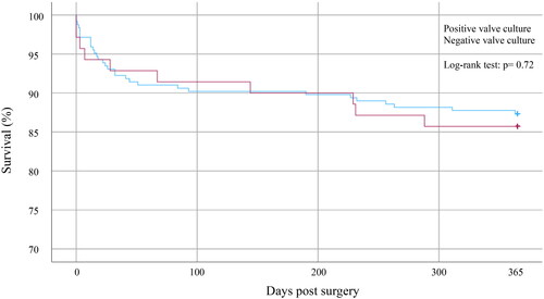 Figure 2. Kaplan–Meier curves presenting survival in patients with positive and negative valve cultures until one year after surgery.