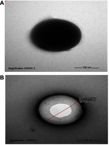 Figure 3 TEM images for ROSCa nanoparticles optimized formula: (A) intact particles; (B) internal section.Abbreviation: ROSCa, rosuvastatin calcium.