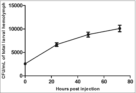 Figure 3. EAEC strain 042 grows inside the larvae. The larvae were infected with 103 CFU and at the indicated time points the hemolymph of 3 larvae were collected and CFU determined by plating on selective agar plates. Error bars at each indicated time point represents standard error of the mean