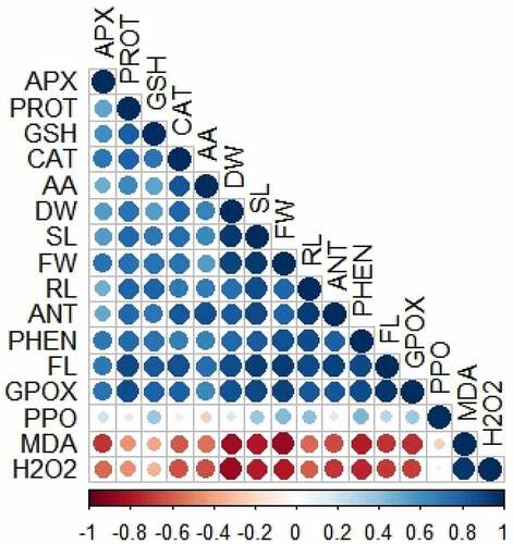 Figure 7. Pearson’s correlation analysis between diverse analyzed parameters of brassica plants under NaCl stress. Blue and brownish colors indicate positive and negative correlation, correspondingly. Abbreviations: Root length (RL); shoot length (SL); fresh weight (FW); dry weight (DW); malondialdehyde (MDA); hydrogen peroxide (H2O2); flavonoid (FL); protein (PROT); phenolic (PHEN); anthocyanin (ANT); catalase (CAT); ascorbate peroxidase (APX); guaiacol peroxidase (GPOX); polyphenol oxidase (PPO); glutathione (GSH); ascorbic acid (AA).