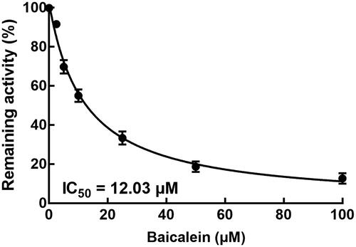 Figure 2. Effect of baicalein on the activity of CYP3A4. The activity of CYP3A4 was evaluated by detecting the concentration of specific metabolites in the presence of 0, 2.5, 5, 10, 25, 50, and 100 μM baicalein.