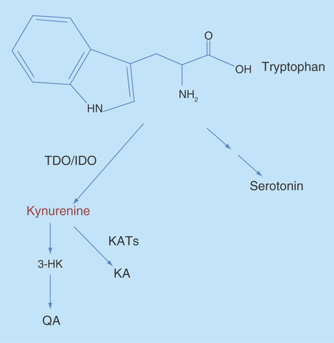 Figure 1.  The Kynurenine pathway of tryptophan degradation.
