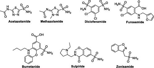 Figure 1. Examples of clinically used sulphonamide-based drugs.