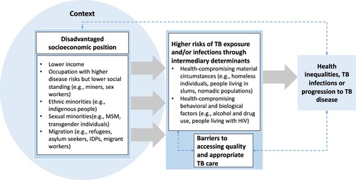 Figure 2. A conceptual framework of TB vulnerability based on adapted Commission on Social Determinants of Health (CSDH) framework.