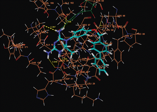 Figure 1.  Binding mode of B2-07 in the active site of developed tgDHFR homology model. Hydrogen bonding interactions are shown by yellow dotted lines, π–π stacking interaction with Phe91 is noticeable.