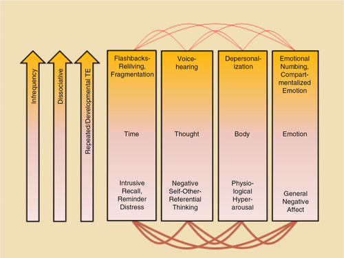 Fig. 1 A summary of the 4-D model that categorizes symptoms of trauma-related psychopathology into (1) those that occur within normal waking consciousness and (2) those that are dissociative and are associated with trauma-related altered states of consciousness (TRASC) along four dimensions: (1) time; (2) thought; (3) body; and (4) emotion. The bottom pink part of the boxes indicates non-dissociative processes and normal waking consciousness, whereas the orange part of the boxes denote dissociative processes and TRASC. The first arrow (infrequency) indicates that the experience of TRASC is hypothesized to be less common than presentations of normal waking consciousness given that states of normal waking consciousness, by definition, are the most common phenomenological state of human beings. It should be noted that the four dimensions of consciousness are not mutually exclusive, but may refer to the same phenomena viewed from different perspectives (e.g., depersonalisation can manifest itself both in the dimension body and emotion). Copied with permission from Frewen and Lanius (Citation2015).