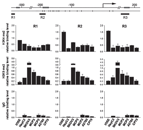 Figure 3 RunX1T1 is epigenetically silenced by histone modifications in ovarian cancer cell lines. ChIP assays were performed with antibodies directed against dimethyl-H3-K4 (H3K4me2) and dimethyl-H3-K9 (H3K9me2) in RunX1T1 promoter in various ovarian cancer cell lines. Regions of RunX1T1 ChIP-PCR analysis are indicated in the schematic diagram above. The relative binding of each antibody to the corresponding region was measured by the amount ChIP DNA against a standard curve generated from input DNA. Each error bar represents standard deviation calculated from triplicates.