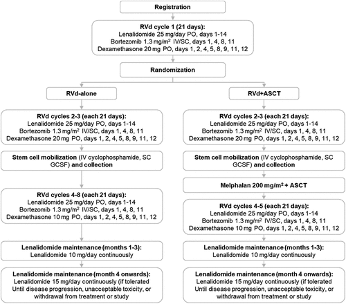 Figure 1. DETERMINATION study treatment schema.