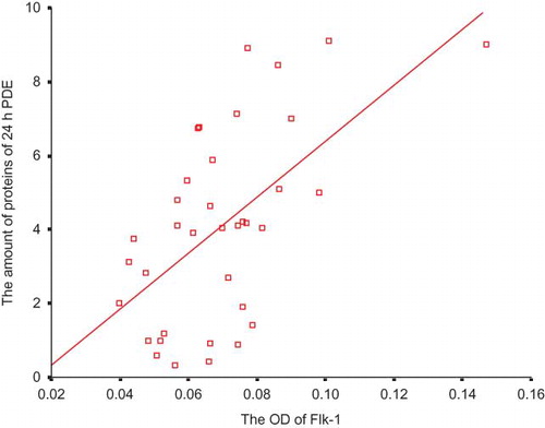 Figure 11. Association of the expression of Flk-1 and 24-h peritoneal protein excretion (ρ = 0.586, p < 0.001, n = 36).