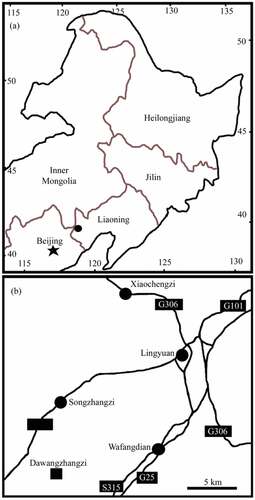 Figure 1. Geographical position of the locality of the Varifructus gen. nov in Liaoning, China (Drawn by X.W.). Reproduced from Han et al. (Citation2017) with permission and courtesy of Acta Geologica Sinica (English edition). (a) Fossil locality (black dot) in northeastern China. (b) Detailed position of fossil locality Dawangzhangzi (black square) in a suburb of Lingyuan, Liaoning