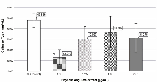 Figure 4 Effect of Physalis angulata extract on collagen type I. Keloid fibroblasts were incubated with 0.63 (10% IC50), 1.25 (20% IC50), 1.88 (30% IC50), and 2.51 (40% IC50) µg/mL P. angulata extract. Control group incubated with culture media. Incubation time was 24 h. *: Significant collagen type I inhibition was showed at 0.63 µg/mL (10% IC50) P. angulata group (p=0.004).