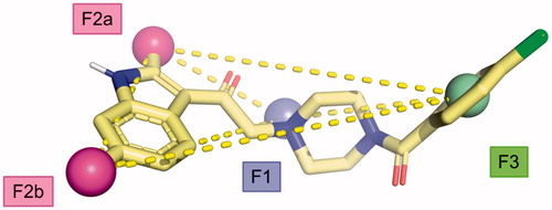 Figure 11. Proposed pharmacophoric model.