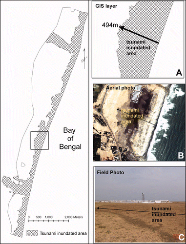 Figure 2. GIS layer showing tsunami inundation in the study area. Typical subset shows tsunami inundation reach in three modes: a, GIS layer; b, digital aerial imagery; and c, field photo.