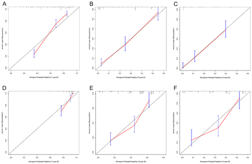 Figure 3 The calibration plots of the nomogram for 1-, 2-, and 3-year survival probabilities in training and validation cohort. (A) One-year OS of the training cohort. (B) Two-year OS of the training cohort. (C) Three-year OS of the training cohort. (D) One-year 0S of the validation cohort. (E) Two-year OS of the validation cohort. (F) Three-year OS of the validation cohort.