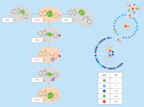Figure 1.  Promiscuity cliffs.On the right, a cluster from the global promiscuity cliff (PC) network of compounds extensively tested in primary PubChem assays is shown. In the network, compounds are represented as nodes that are connected by edges if they form a PC. As a cliff criterion, a PD difference of at least 20 was required. Nodes are colored by PD values ranging from 0 (consistently inactive compounds) to ≥20 (compounds with activity against 20 or more targets). In the cluster, a pathway comprising seven compounds (1–7) and six PCs is traced. On the left, the pathway is displayed in detail. Color-coded substitution sites in compounds indicate chemical modifications that distinguish pairs of analogs forming PCs.PD: Promiscuity degree.