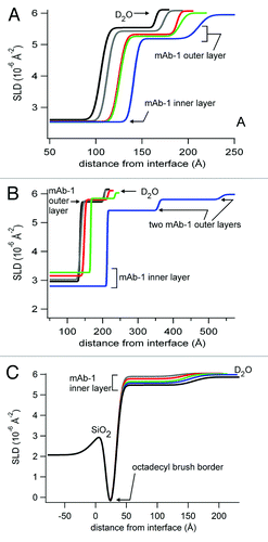 Figure 10. Fitted SLD profiles for neutron reflectivity data for mAb-1 adsorbed to SiO2 from solutions in histidine pH 5.5 (A) or PBS pH 7.4 (B), and to OTS-coated SiO2 from solutions in histidine pH 5.5 (C). Profiles are shown as the distance from the silicon-SiO2 interface and labels are used as a guide for the SLD of each layer, corresponding to Table 1.