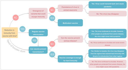 Figure 7. Illustration showing the possibility of SARS-CoV-2 either completely disappearing from the globe or more likely becoming endemic and causing mild disease and need of seasonal vaccination similar to influenza.