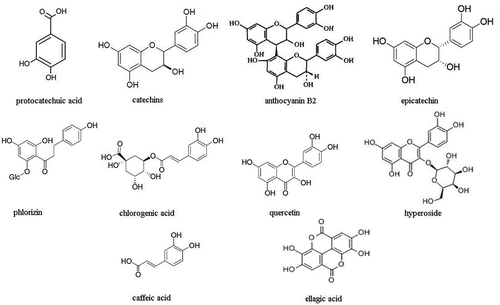 FIGURE 1 Chemical formulas of the 10 phenolic compounds.