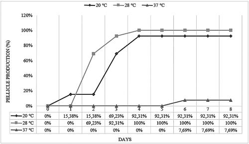 Figure 2. Pellicle production levels of S. Infantis strains at 20, 28 and 37 °C for eight days.