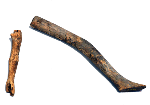 Fig. 7. A votive arm and leg (DHS.02426) from the medieval cathedral of Hamar. The arm has missing fingers. © Sogn Folkemuseum.