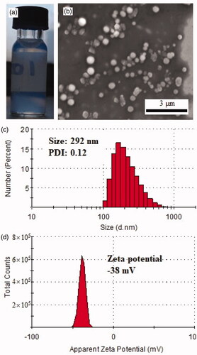 Figure 1. Formation of FK506 loaded micelle. (a) the representative image of FK506 loaded micelle; (b) the SEM image of FK506 loaded micelle; (c) the hydrodynamic diameter size distribution of FK506 loaded micelle; (d) the zeta potential of FK506 loaded micelle.