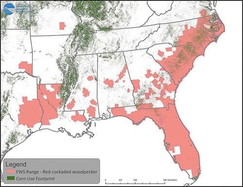 Figure 25. Distribution of counties with species-range of red-cockaded woodpecker overlapping by >0.95% with corn land-use (an example of species with broad range)