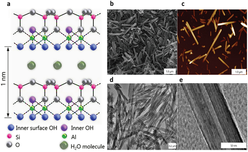 Scheme 1. Halloysite structure (a), and scanning electron microscopy (SEM) (b), atomic force microscopy (AFM) (c), and transmission electron microscopy (TEM) images of the nanotubes. Reproduced with permission from [Citation7], copyright by Wiley, 2016.