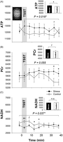 Figure 3. Mean values ± SEM of cerebral high energy phosphates and oxidized nicotinamide adenine dinucleotide (NADH) content upon stress vs. control intervention (gray bar). Asterisks mark significant analyses of t-test (tp < .10; *p < .05; **p < .01).